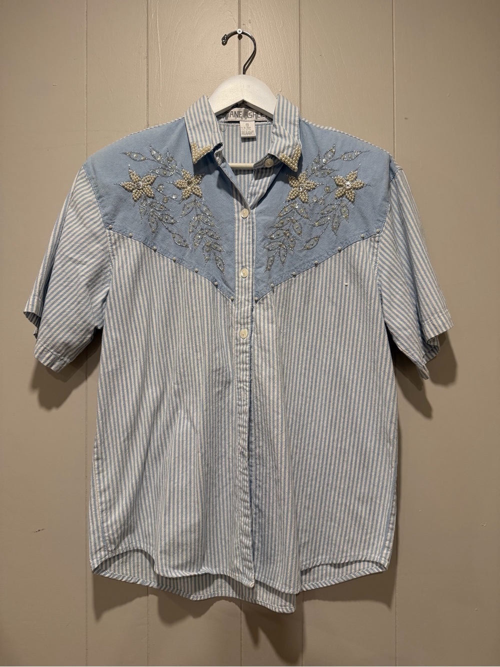 Jane Ashley Light Blue and White Striped Embroidered Western Button-Down